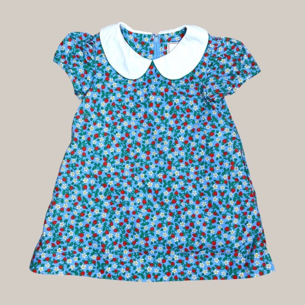 Classic Prep Strawberry Blue Peter Pan Collar Dress 2T